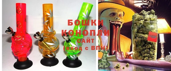 мдпв Дмитров