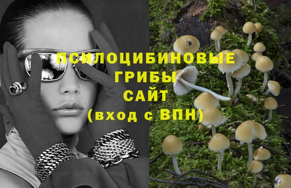 дмт Володарск