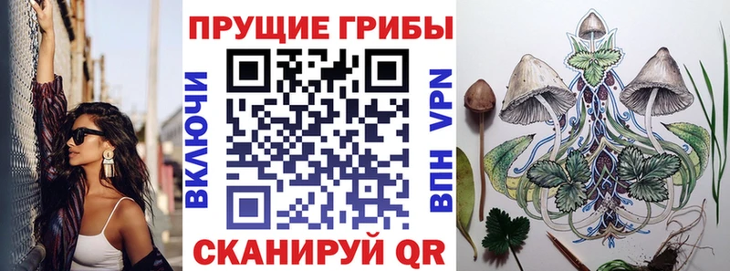 Купить закладки  Лаишево  Галлюциногенные грибы прущие грибы 